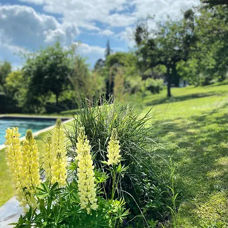 Countryside Normandie Superbe Propriete Et Sa Maison D Amis 1h De Paris *